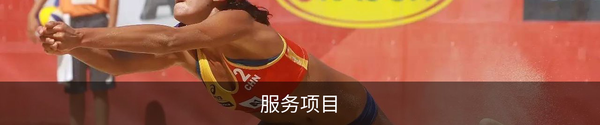 服务项目